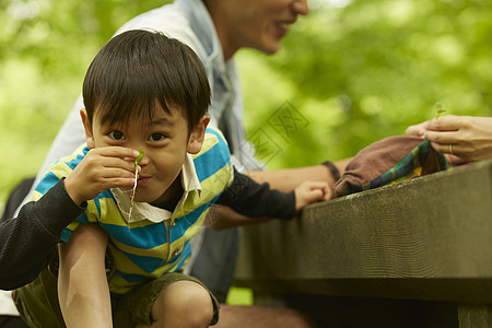 小男孩和父母一起在树林间图片