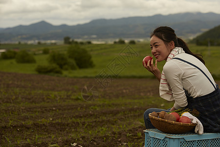 农场农民美女收获番茄高清图片