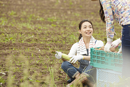 农场菜园劳作的女孩图片