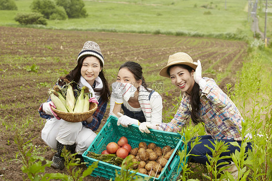 农场菜园劳作的女孩们图片