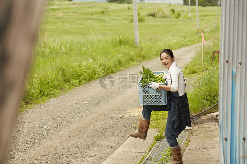 农场农民美女收获新鲜蔬菜图片