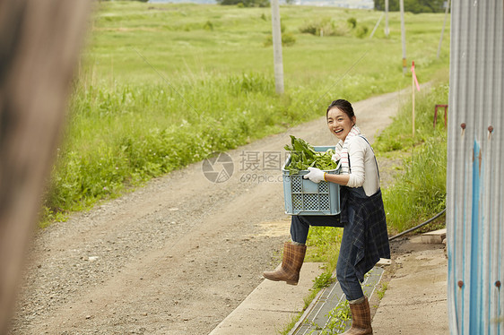 农场农民美女收获新鲜蔬菜图片