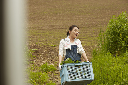 收获新鲜蔬菜的农民女青年图片