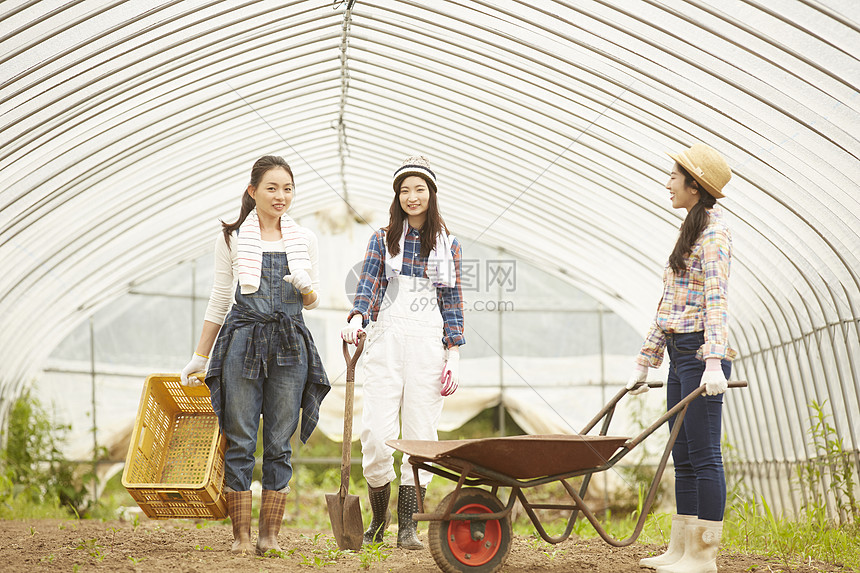 蔬菜大棚工作的女青年图片