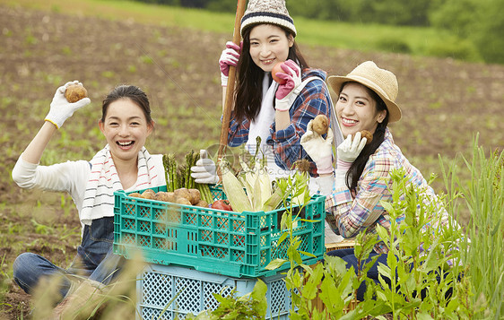 农村田地里劳作的女人们图片