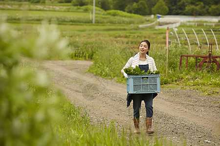 收获新鲜蔬菜的农民女青年图片