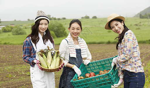 农村田地里劳作的女人们图片