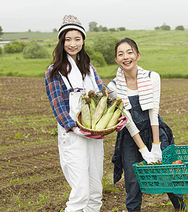 农地里劳作收获的女青年们图片