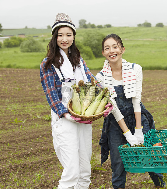 农地里劳作收获的女青年们图片