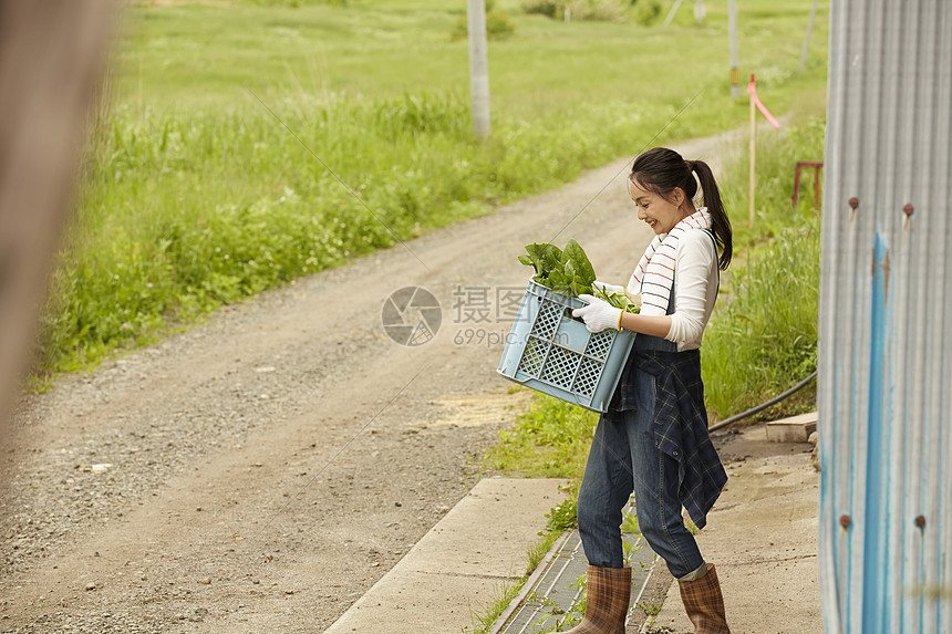 农场收获蔬菜的女青年图片