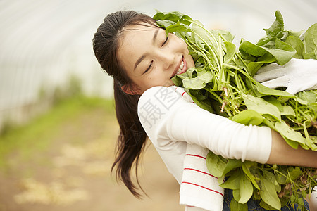 抱着采摘蔬菜的女性图片