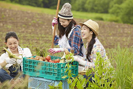 农田里采摘蔬菜水果的女性图片