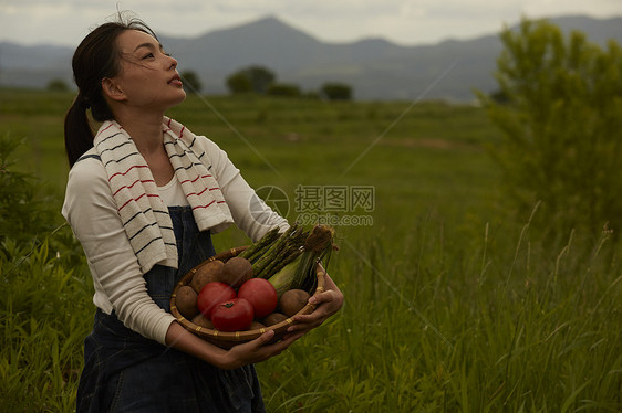 农场收获蔬菜的女青年图片