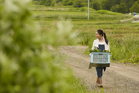 乡间小路运送农具的女孩图片