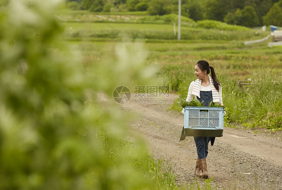 乡间小路运送农具的女孩图片