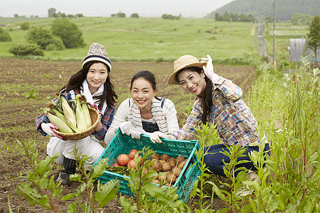在田间收集农作物的农业女孩画像图片
