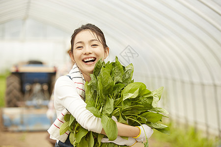 农场收获蔬菜的女青年图片