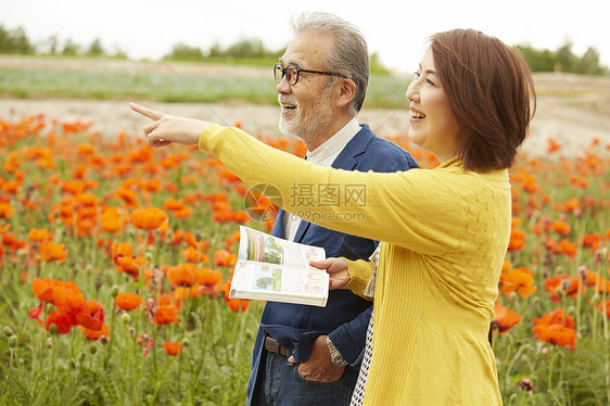 中年夫妇外出看花海图片