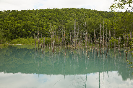 北海道蓝塘水面图片