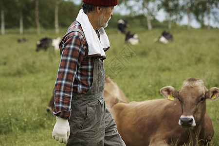 户外畜牧农民工作风光图片