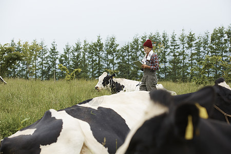 站在草地里的农民和奶牛图片
