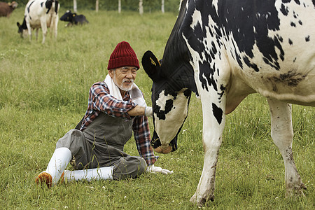 坐在草地里轻抚着奶牛的农民图片