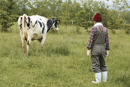 站在草地里的农民和奶牛图片