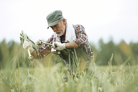 田间劳作的农夫图片