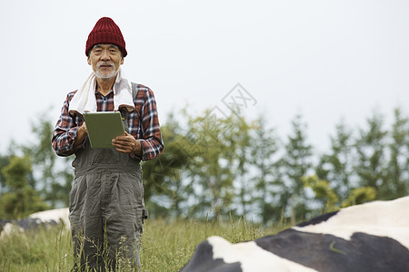 老人在牧场用平板电脑图片