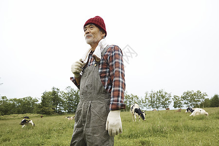 农场放牧的男人肖像图片