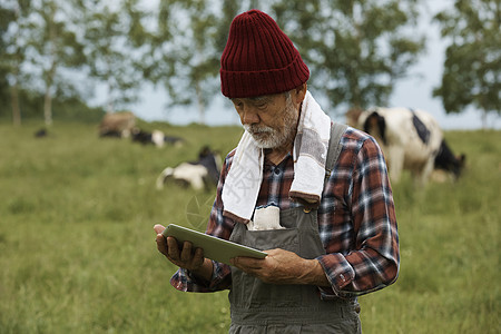 老人在牧场用平板电脑图片