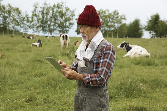 老人在牧场用平板电脑图片