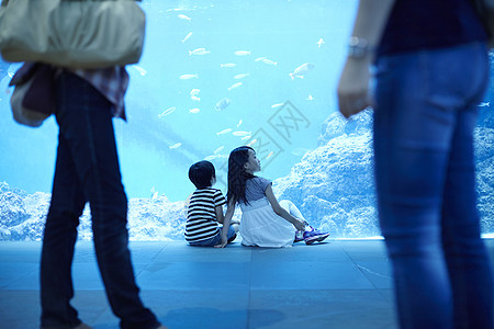 在水族馆看海洋生物的兄妹背影图片