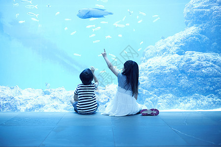 在水族馆看海洋生物的兄妹背影图片