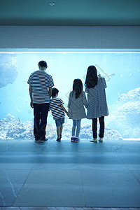 在水族馆看海洋生物的一家四口背影图片