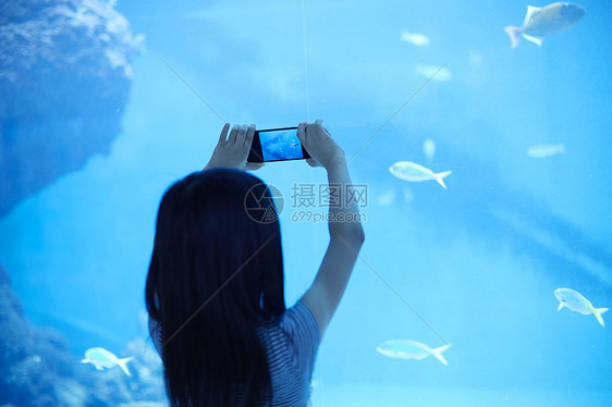 小女孩在水族馆用手机拍照图片