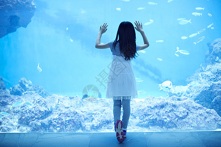 女孩在水族馆观光图片