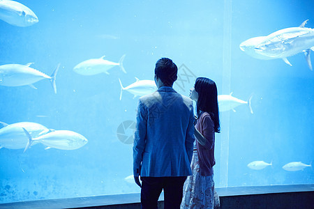 情侣在水族馆约会图片