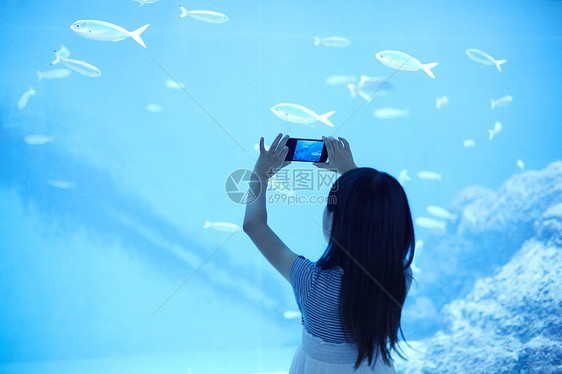 女孩用手机在水族馆拍照图片