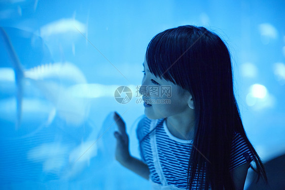 女孩在水族馆肖像图片