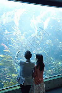 水族馆约会的情侣图片