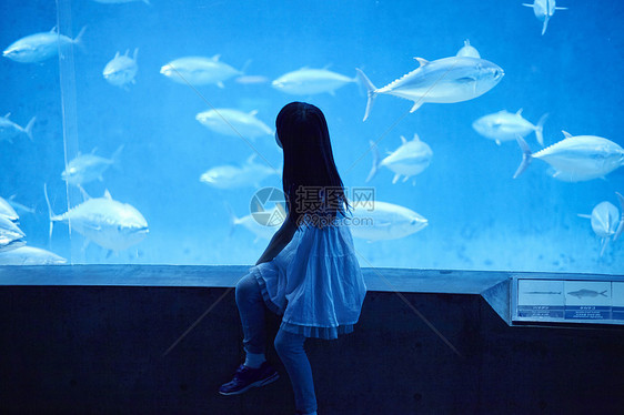 水族馆看鱼的小女孩图片