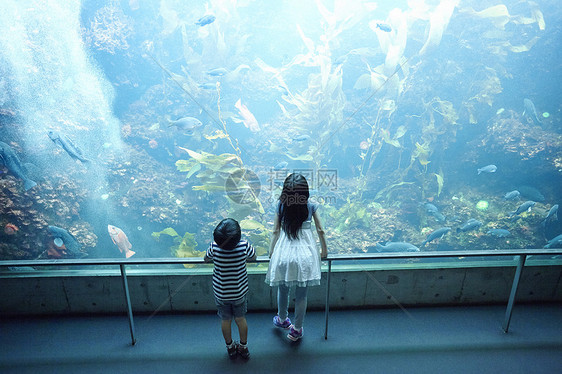 一家人在水族馆玩耍图片