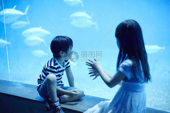 水族馆看鱼的一对兄妹图片