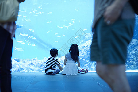 水族馆看鱼的兄妹图片