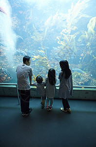 参观水族馆的一家四口图片