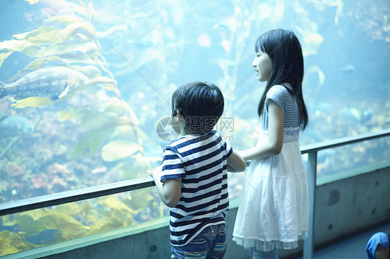 水族馆看鱼的兄妹图片