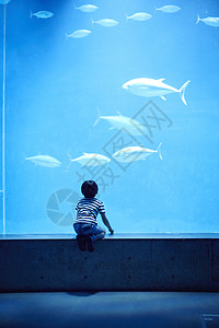 水族馆看鱼的小男孩图片