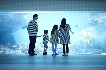 一家四口在水族馆观光图片