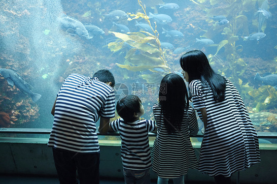 一家四口在水族馆观光图片